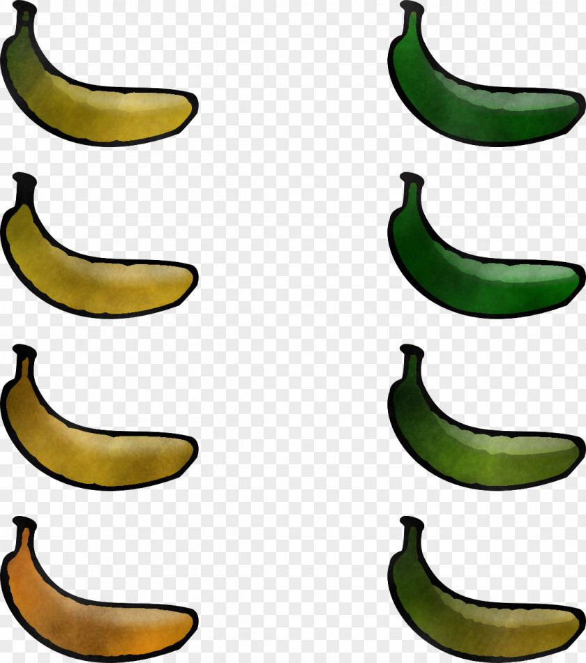 Banana Family Saba Plant Fruit PNG
