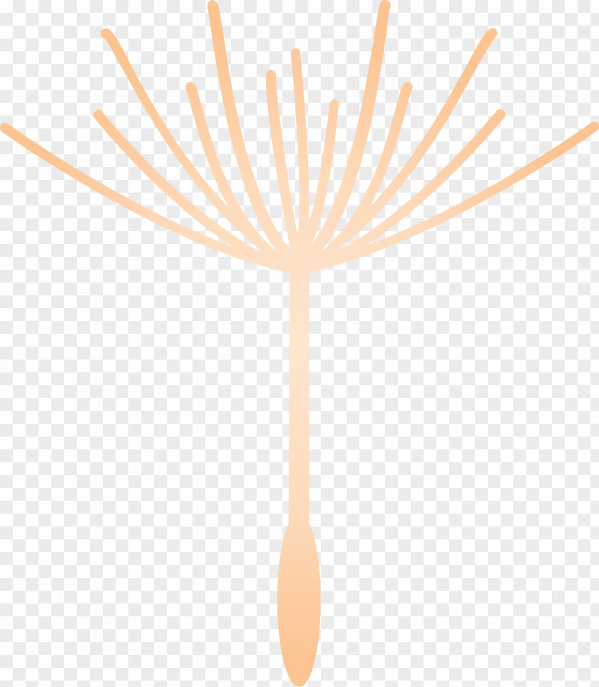 Dandelion PNG