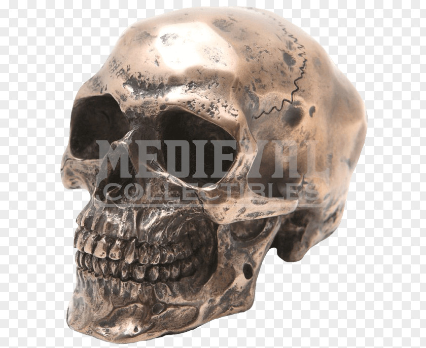 Skull Viking Human Symbolism Skeleton Bronze Resin Casting PNG
