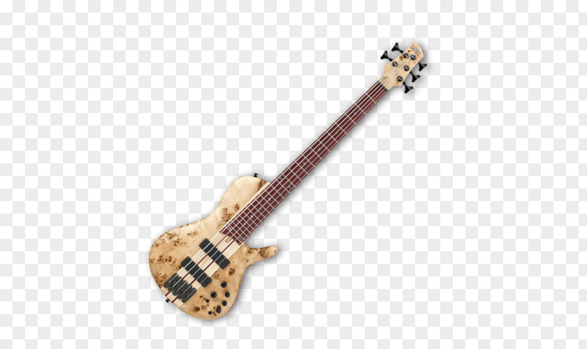 Bass Guitar Musical Instruments String Electric PNG