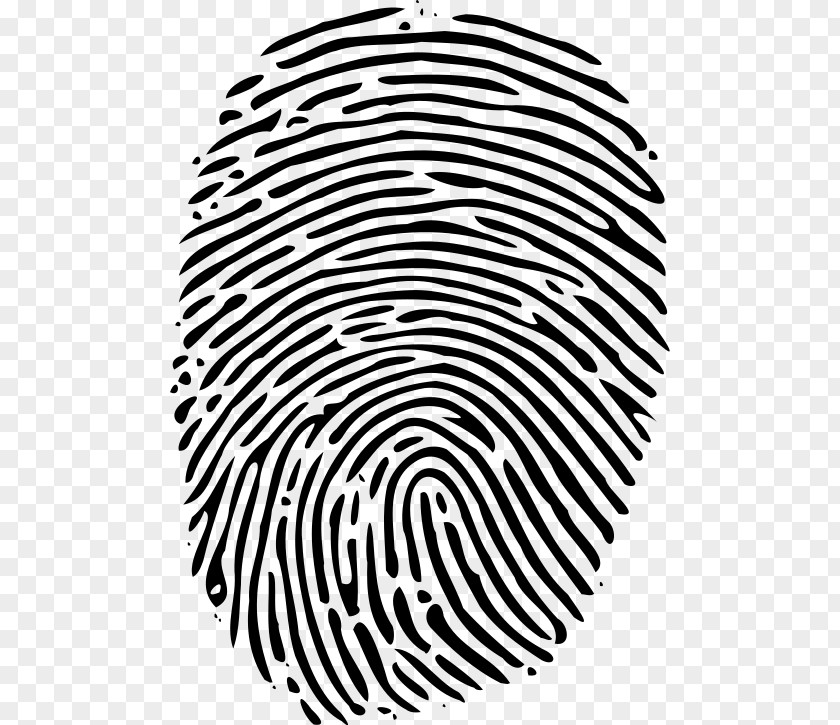 Billow Fingerprint Clip Art PNG