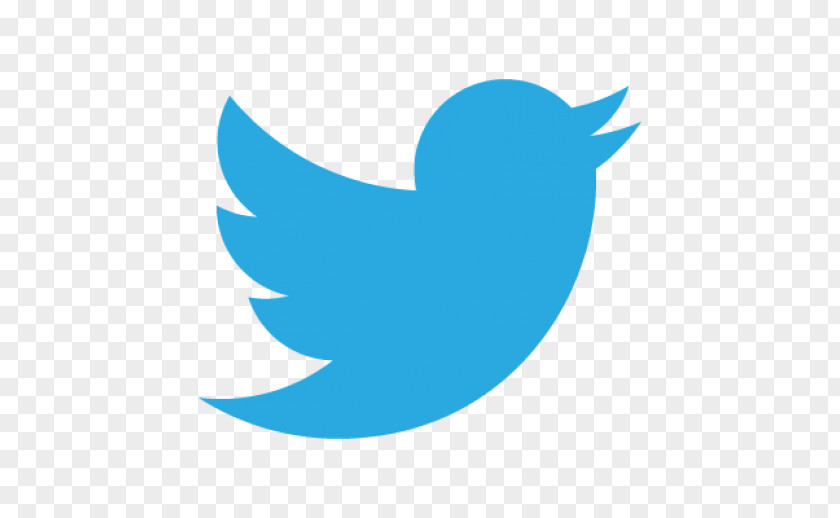 Bird Logo Vector. Google Social Media YouTube PNG