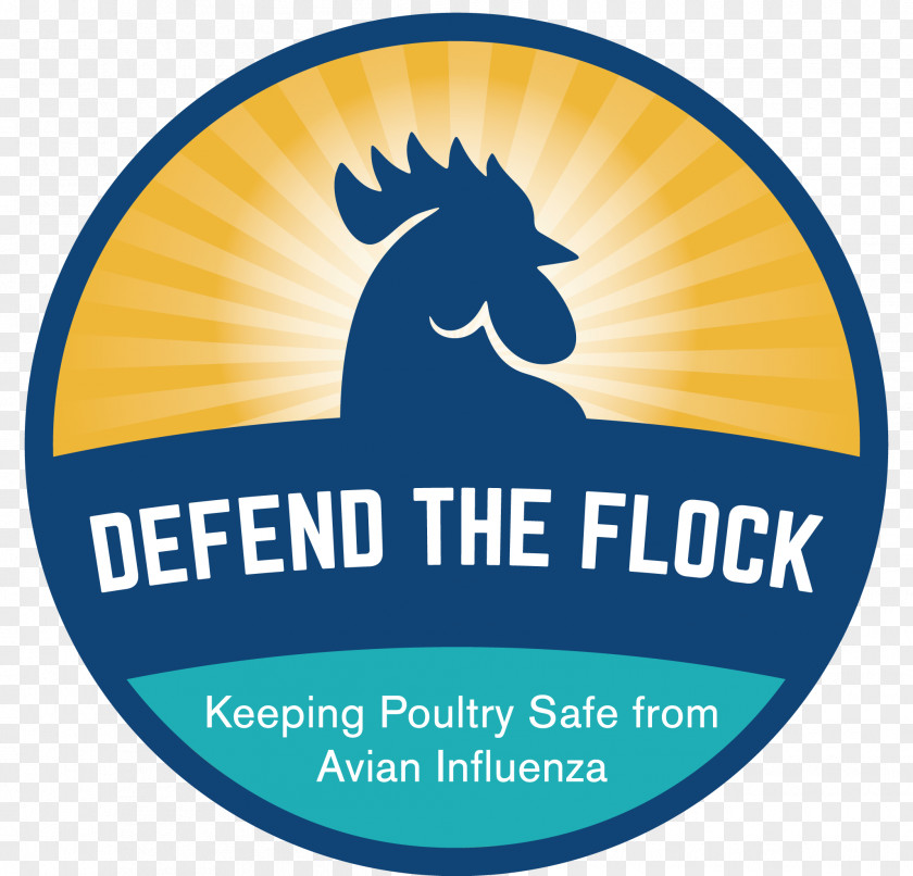 Flock Of Birds Avian Influenza Disease United States Department Agriculture Animal And Plant Health Inspection Service Poultry PNG