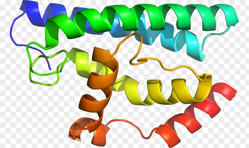 Glutathione Stransferase Mu 1 Organism Clip Art PNG