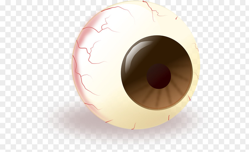 Us-pupil Human Eye Globe Visual Perception Pupil PNG