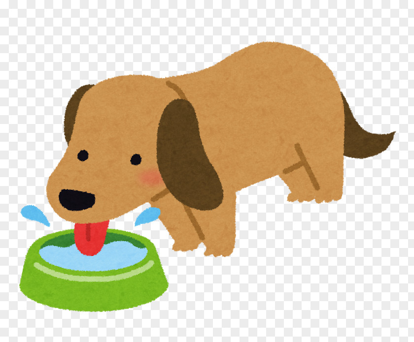 Water Dog Yorkshire Terrier Drinking Urine Cat Nutrient PNG