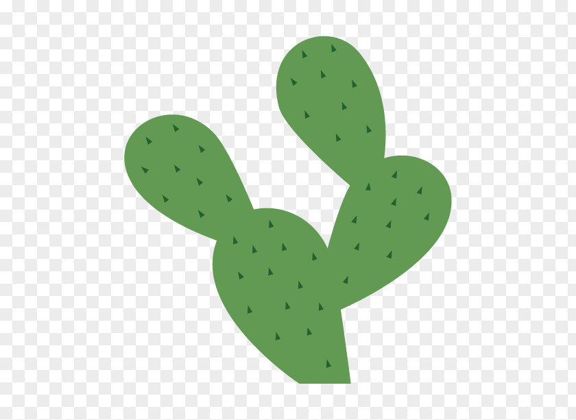 Cactus Nopal Pattern PNG