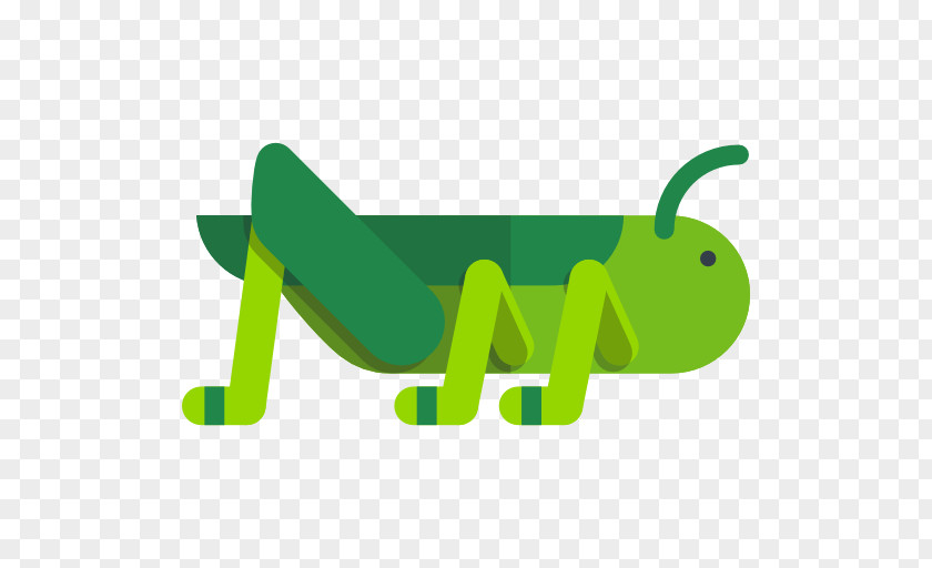 Green Grasshopper Icon PNG