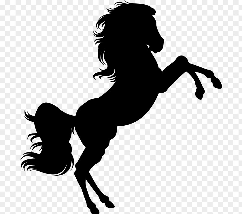 Hind Horse Silhouette Clip Art PNG