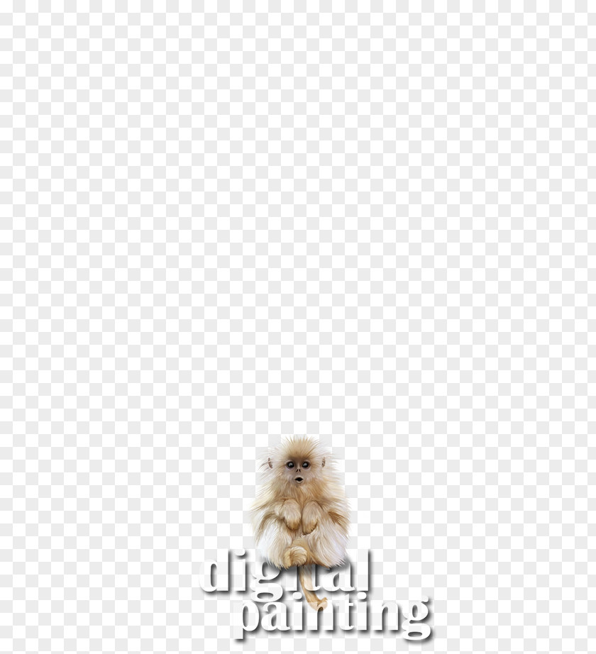 Watercolor Baby Animals Pomeranian Snout Fur PNG