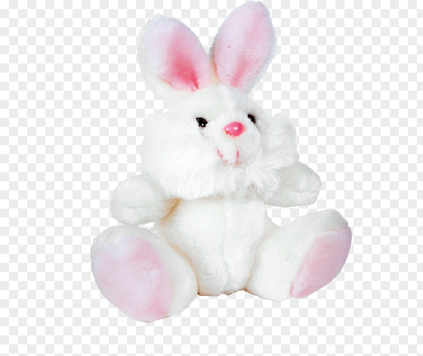 Cute Bunny Domestic Rabbit White Easter European PNG