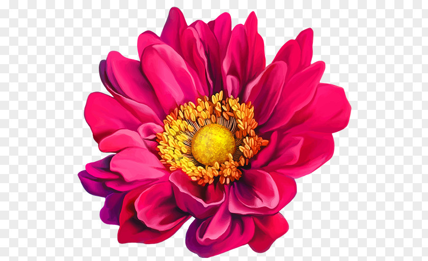 Flower Mona Lisa Stock Photography PNG