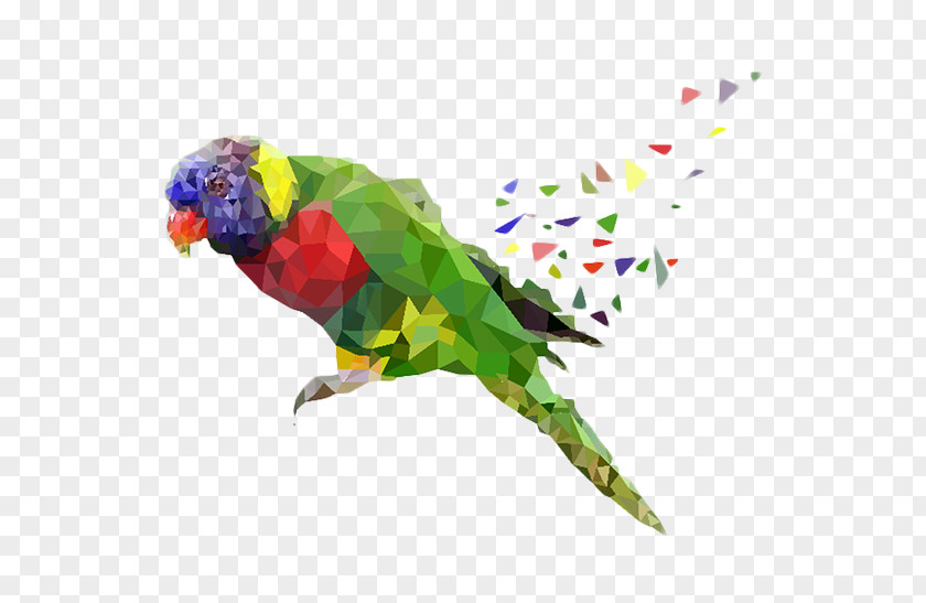 Hand-painted Parrot Material Picture Fundal Parakeet PNG