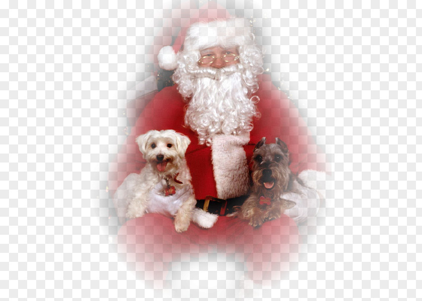 Santa Claus Schnoodle Garage Duval Peillon Père Noël Christmas PNG