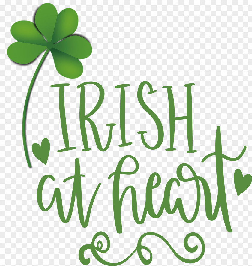 Shamrock Irish Saint Patrick PNG