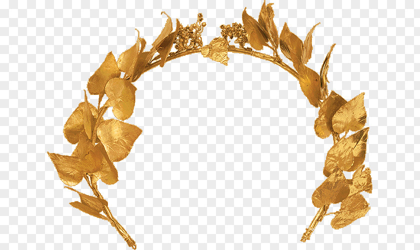 Wreath Ancient Greece Chlamys Petasos Fibula PNG