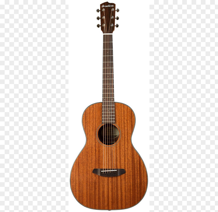 Acoustic Poster Electric Ukulele Tenor Guitar Soprano PNG