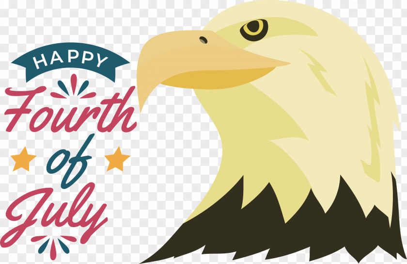 Birds Bird Of Prey Beak Cartoon Eagle PNG