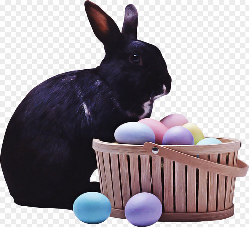 Easter Bunny PNG