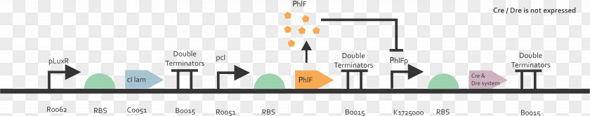 Genetically Modified Organism Graphic Design Computer Program PNG