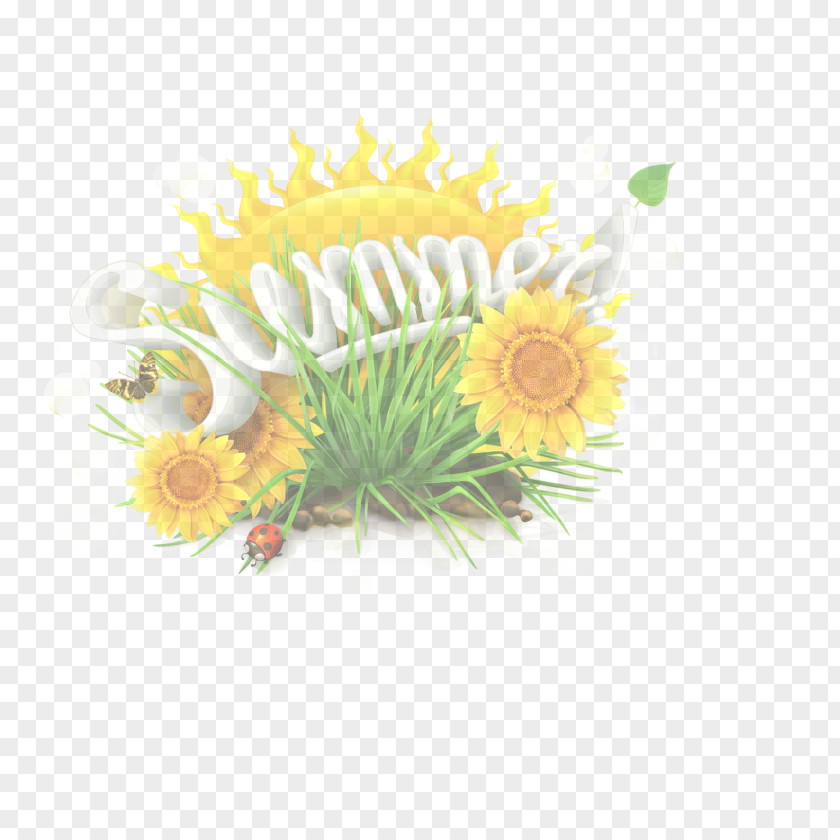 Gerbera Plant Yellow Flower Grass PNG