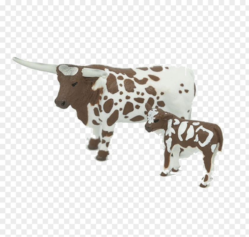 Longhorn Texas Angus Cattle Hereford Charolais Calf PNG