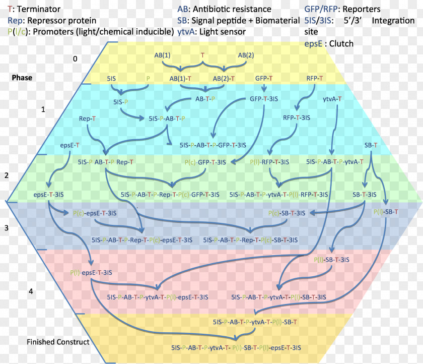 Pathway Ecoregion Water Resources Community Map PNG