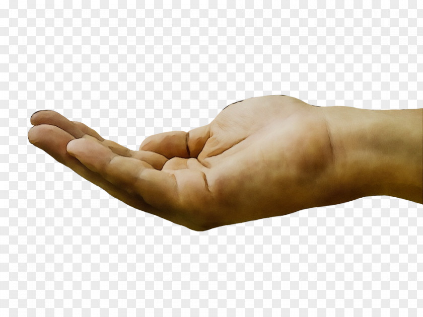 Wrist Sign Language Hand Finger Arm Gesture Thumb PNG
