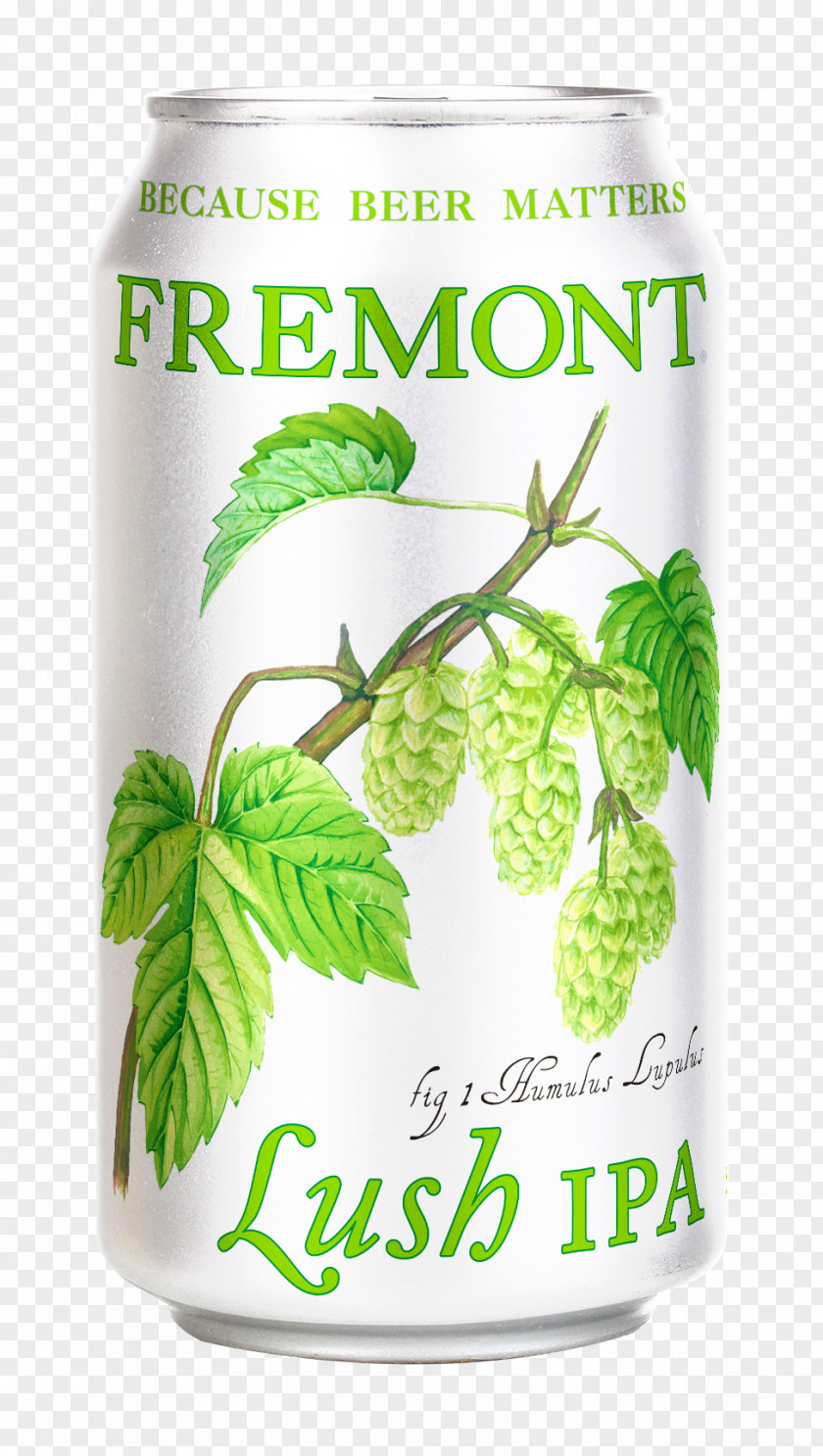 Beer India Pale Ale Fremont Founder's All Day IPA Founders Brewing Company PNG