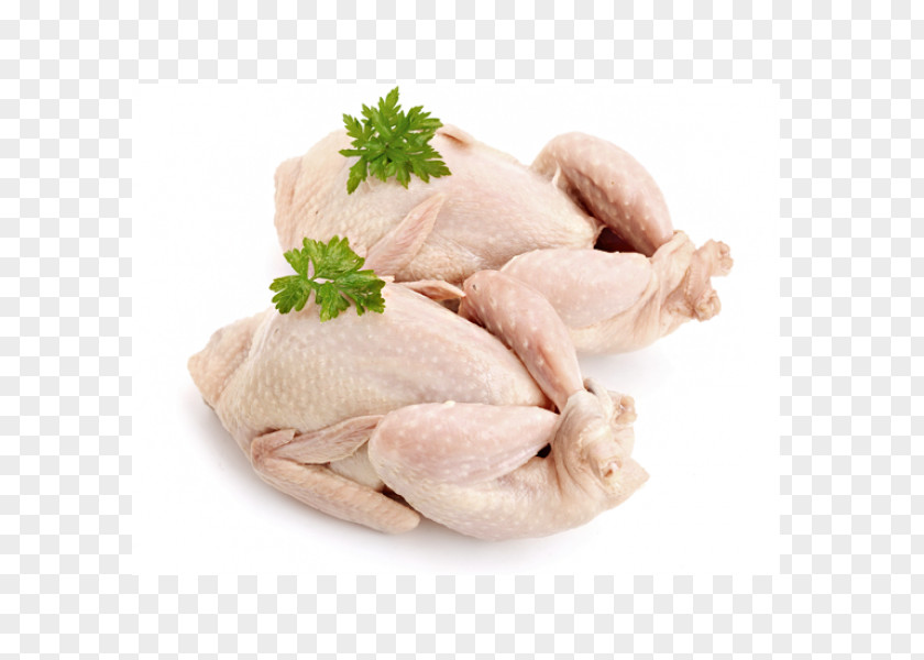 Chicken Common Quail Meat PNG