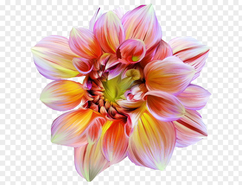 Flower Artificial Floral Design Petal PNG