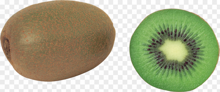 Kiwi Image, Free Fruit Pictures Download Kiwifruit Actinidia Deliciosa PNG