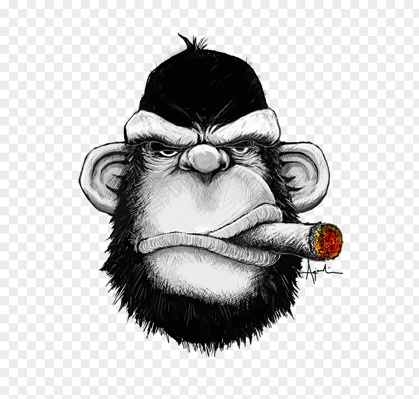 T-shirt Cigar Box Guitar Monkey PNG