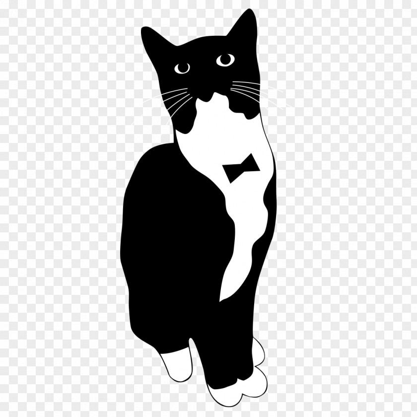 Tuxedo Play, Cat, Play The Game For CATS Clip Art PNG