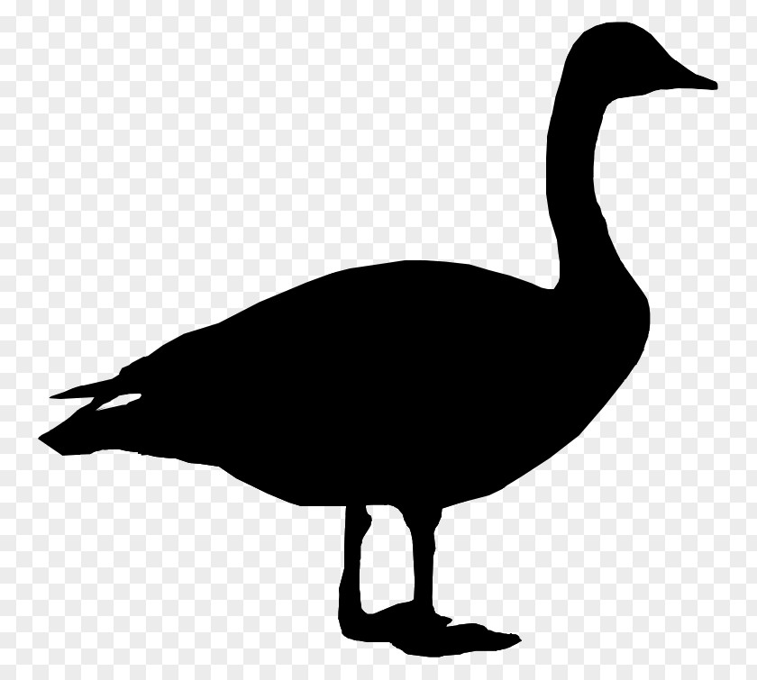 Canada Goose Duck Clip Art Decal PNG