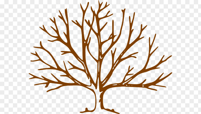 Fall Trees Clipart Tree Clip Art PNG