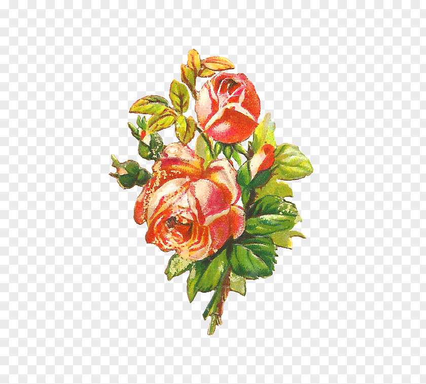 Free Flower Graphics Garden Roses Pink Shabby Chic Clip Art PNG
