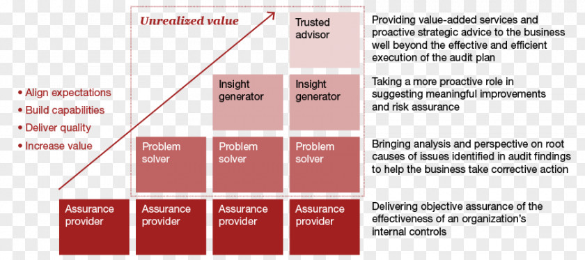 Highly Organized Internal Audit Organization Control PricewaterhouseCoopers PNG