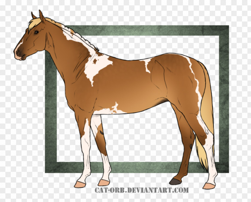 Horse Auction Foal Mane Stallion Mare Bridle PNG