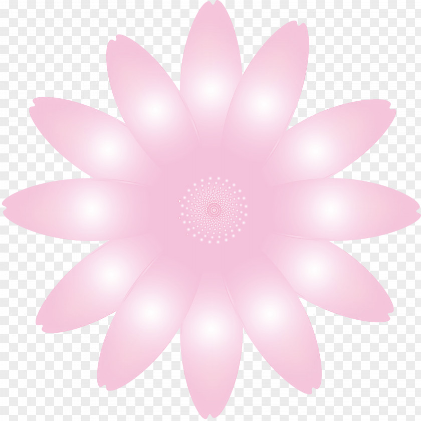 Marguerite Flower Spring PNG