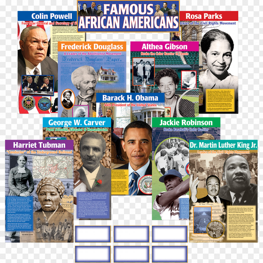 Student Bulletin Board African American Classroom African-American History PNG