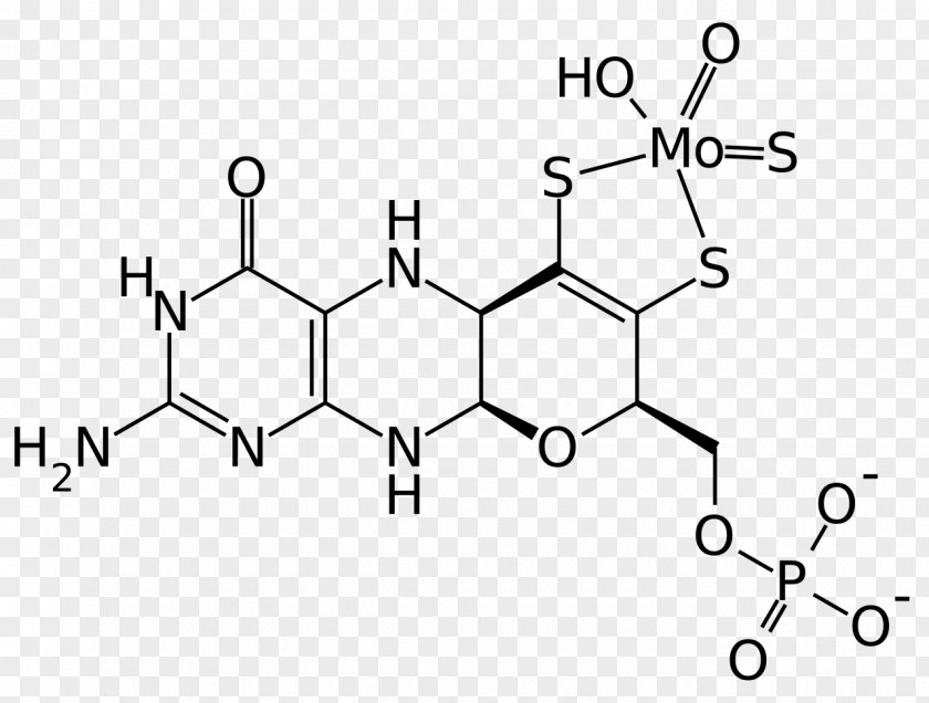 10-Formyltetrahydrofolate Tyrosine Hydroxylase Chemistry Organic Compound PNG