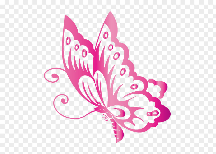 Butterfly Logo PNG