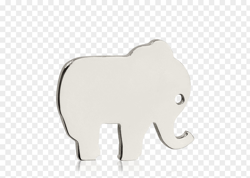 Creative Elephant Indian African Satao Tusk PNG