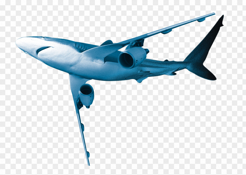 Dolphin Aircraft Great White Shark Airplane PNG
