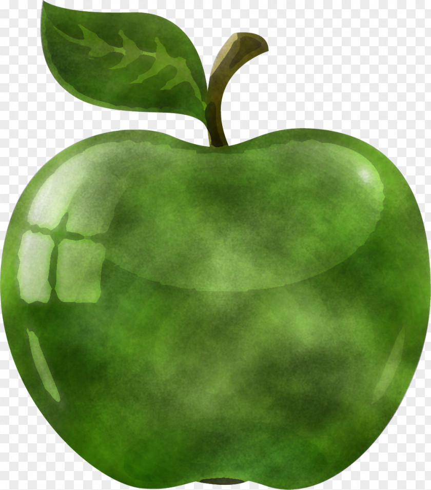 Green Leaf Fruit Apple Plant PNG