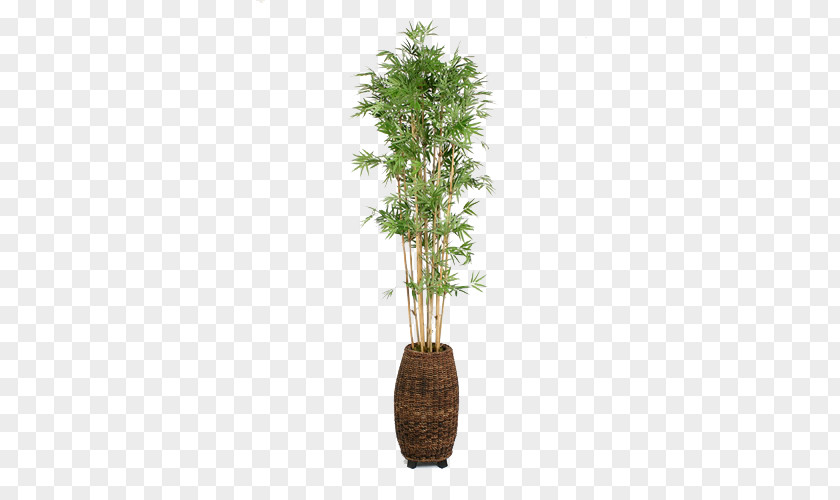 Household Pots Potted Bamboo Weaving Flowerpot Houseplant PNG