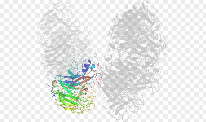 Oseltamivir Graphic Design Drawing Line Art PNG