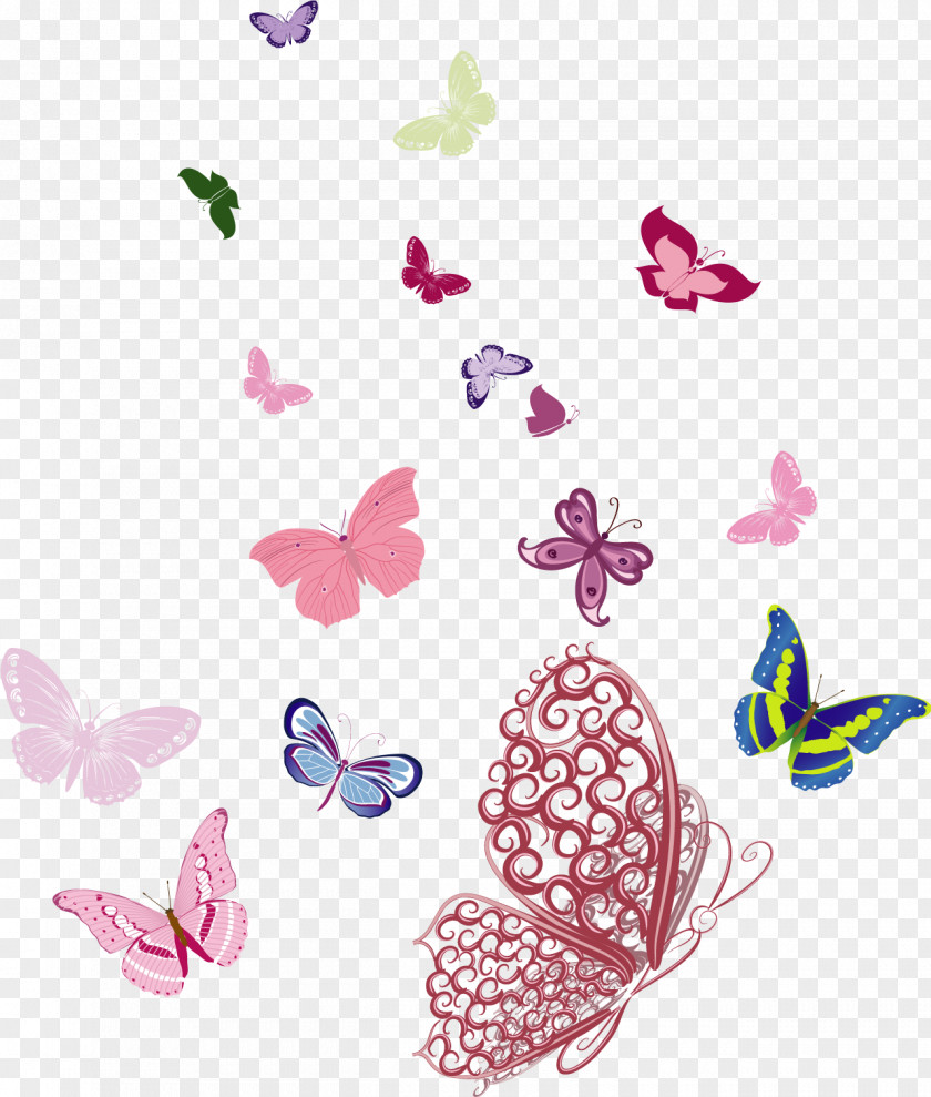 Vector Butterfly Group Insect PNG