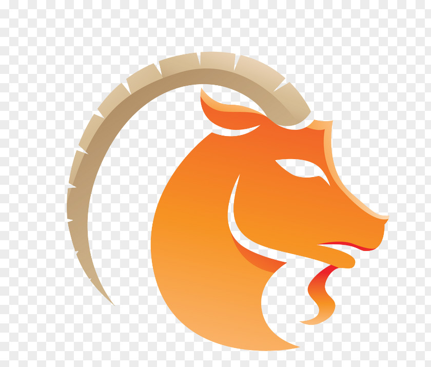 Capricorn Zodiac Astrological Sign Virgo Horoscope PNG